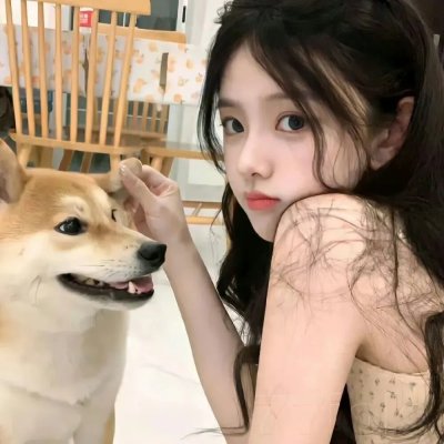 说走就走之不说再见
